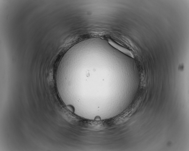 X0000098030377200804181235