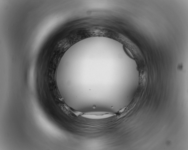 X0000098030381200804181235