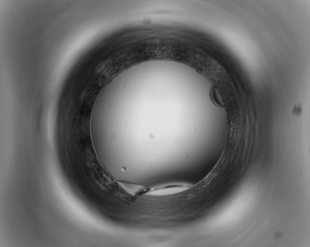 X0000098030383200804181235