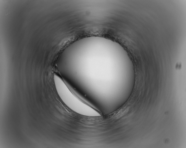 X0000098030384200804181235