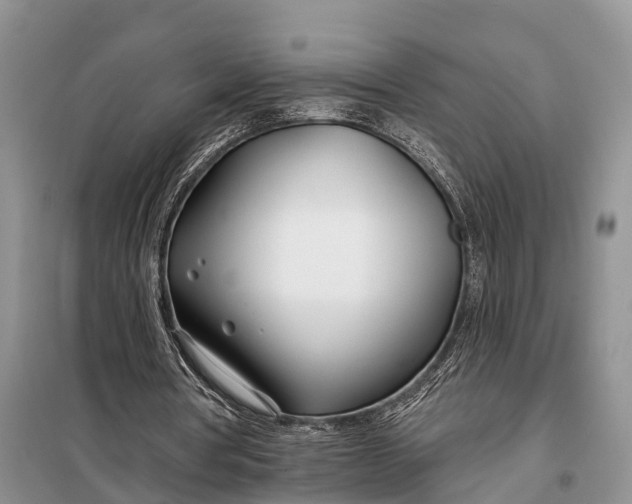 X0000098030386200804181235