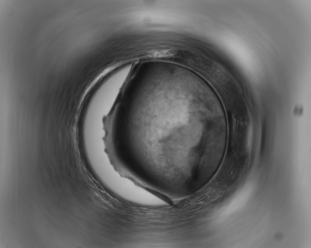 X0000098030387200804181235