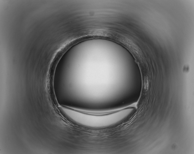 X0000098030388200804181234