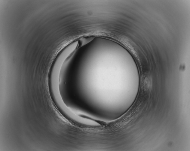 X0000098030389200804181234