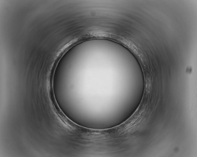 X0000098030390200804181234