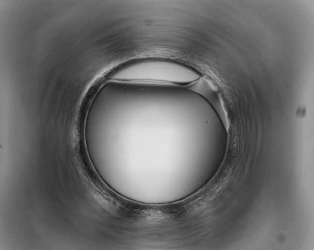 X0000098030392200804181234