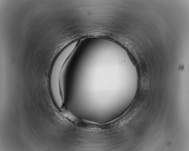 X0000098030393200804181234