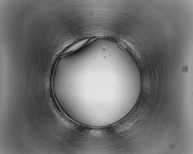 X0000098030394200804181234