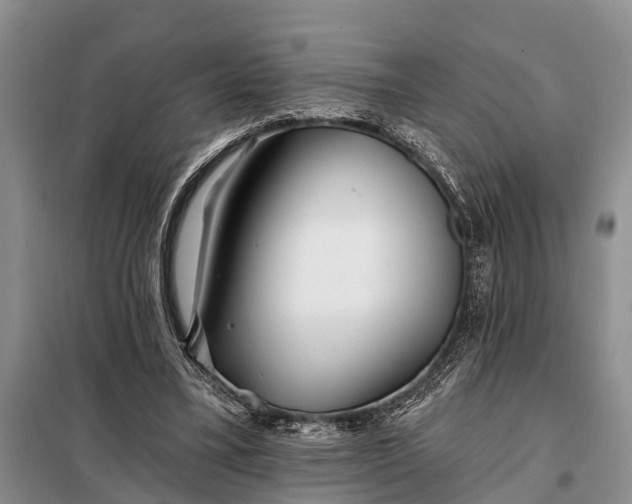 X0000098030395200804181234