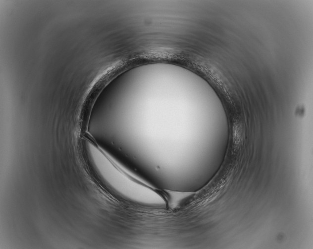 X0000098030396200804181234