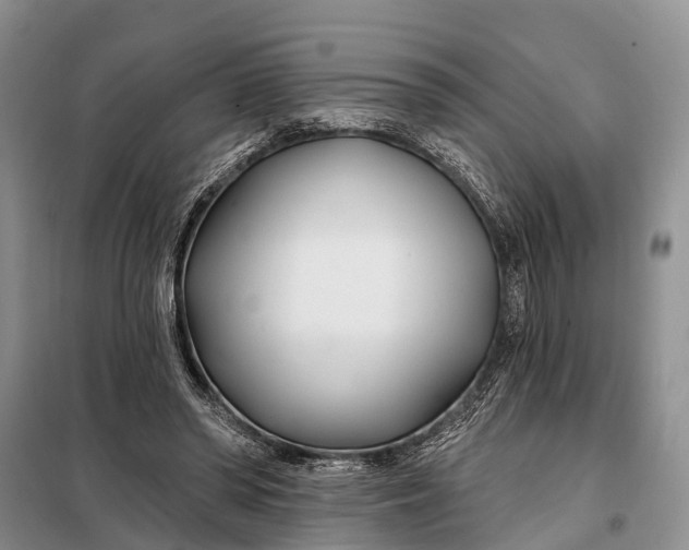 X0000098030398200804181234