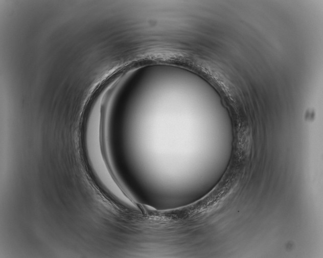 X0000098030399200804181234