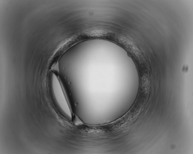 X0000098030400200804181234