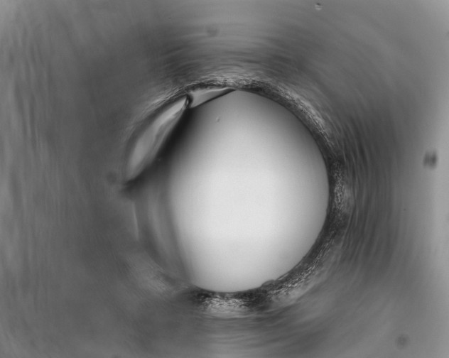 X0000098030403200804181234