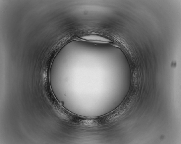 X0000098030406200804181234