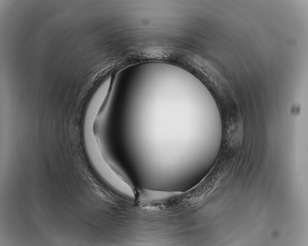 X0000098030407200804181234