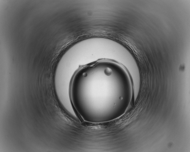 X0000098030411200804181234