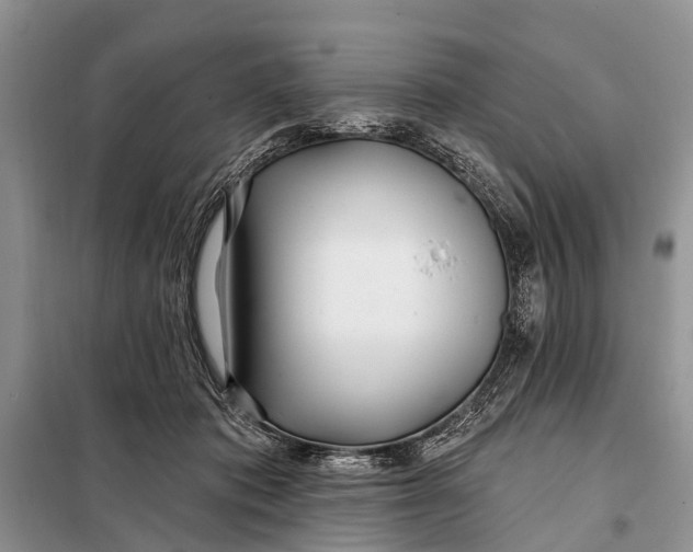 X0000098030413200804181234