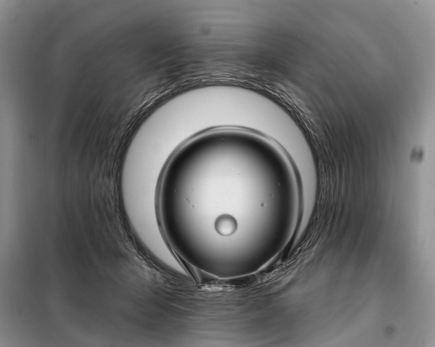 X0000098030415200804181234