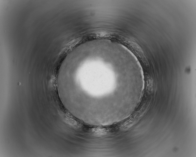 X0000098030419200804181234