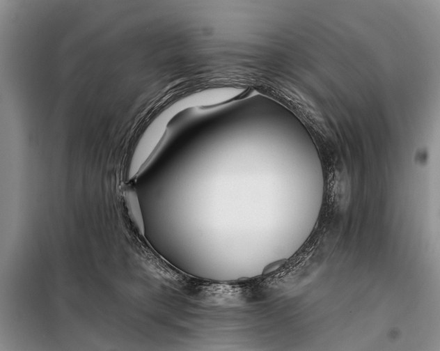 X0000098030421200804181234