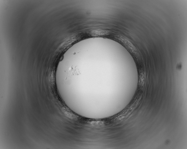 X0000098030426200804181234