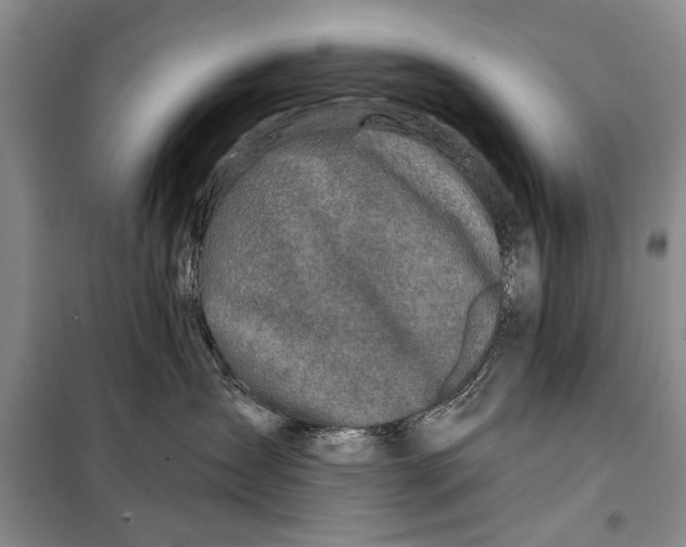 X0000098030431200804181234