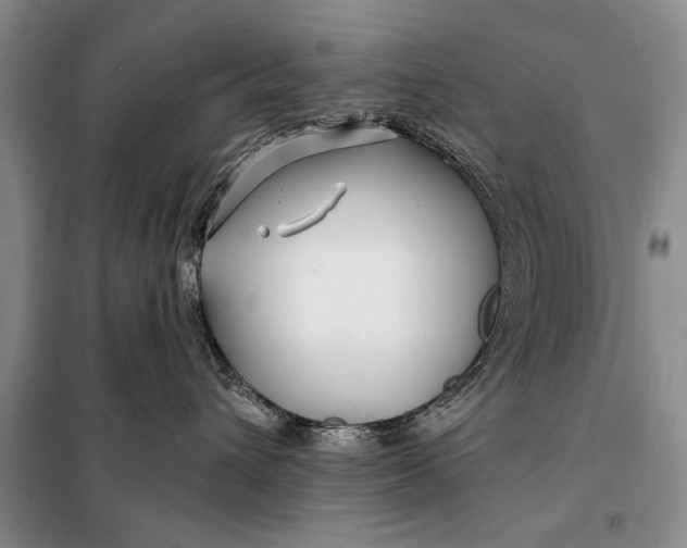 X0000098030432200804181234