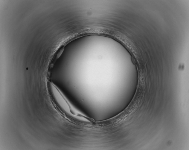 X0000098030434200804181233