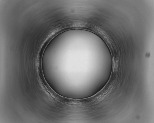 X0000098030435200804181233