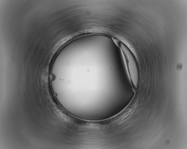 X0000098030437200804181233