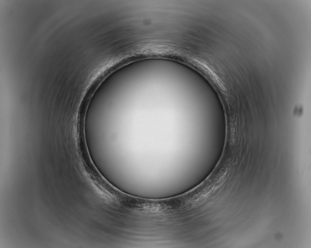 X0000098030439200804181233