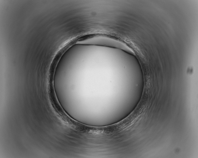 X0000098030440200804181233