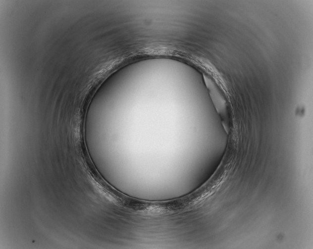 X0000098030441200804181233