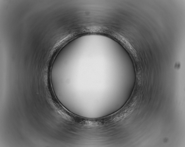 X0000098030442200804181233