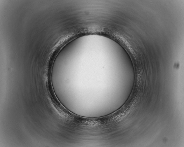 X0000098030443200804181233