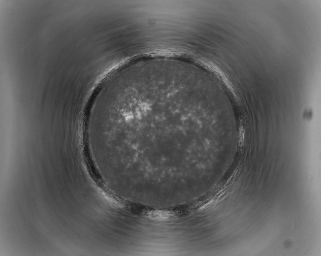 X0000098030444200804181233