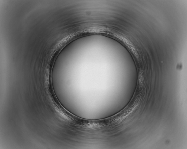 X0000098030445200804181233