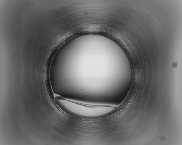 X0000098030447200804181233