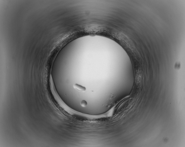 X0000098030448200804181233