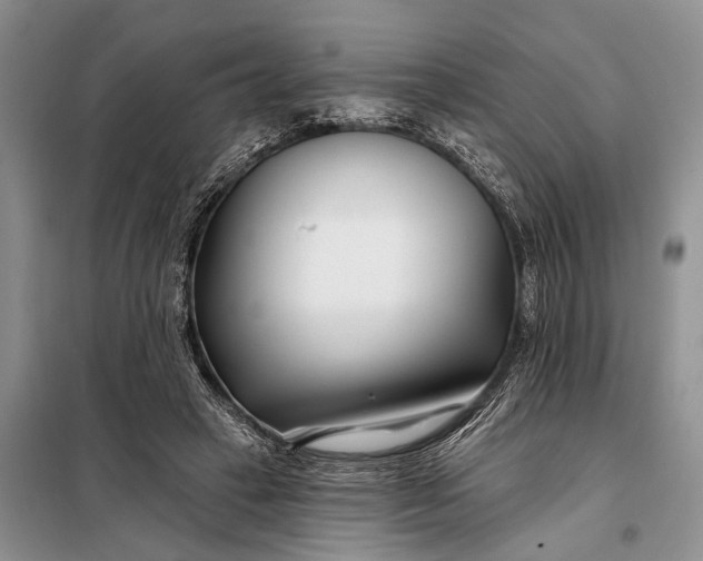 X0000098030449200804181233