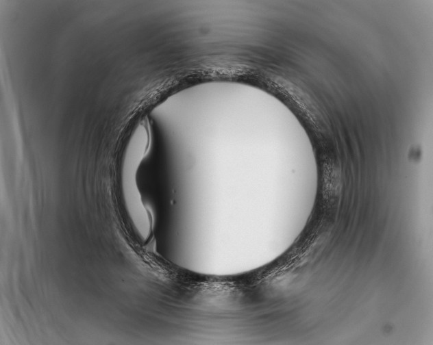 X0000098030451200804181233