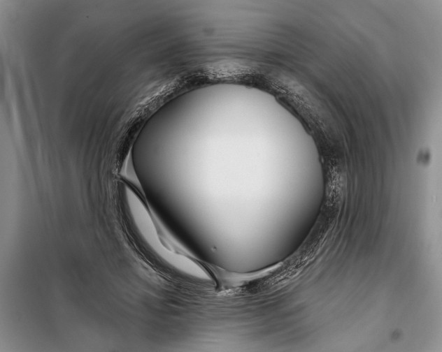 X0000098030452200804181233