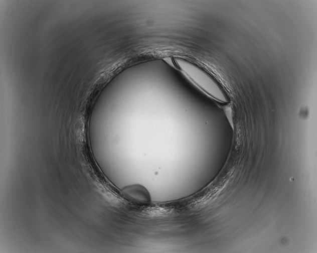 X0000098030453200804181233