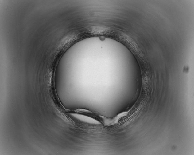 X0000098030454200804181233