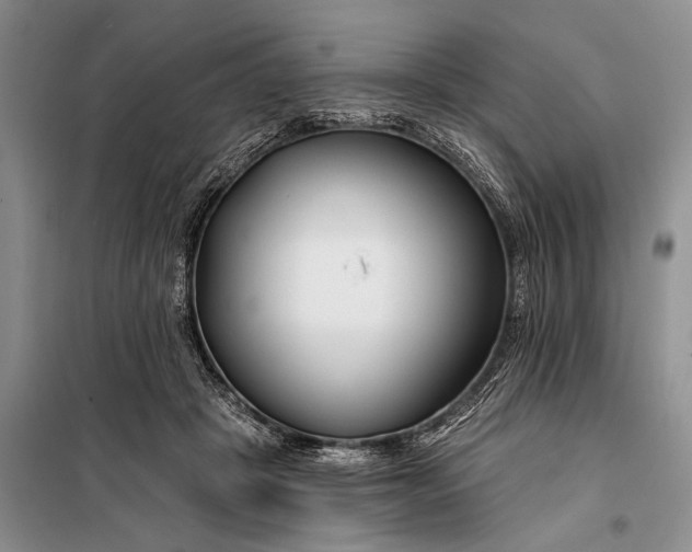 X0000098030457200804181233