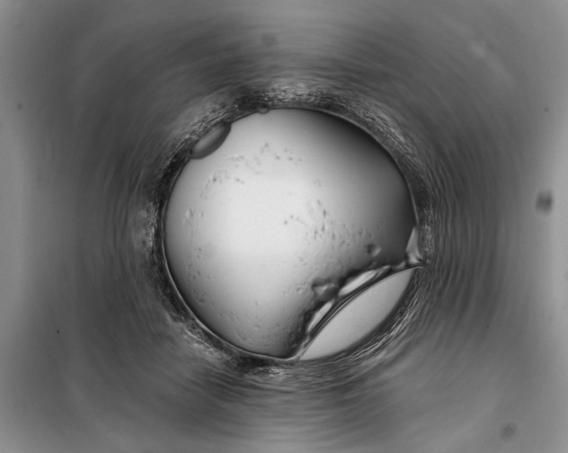 X0000098030458200804181233