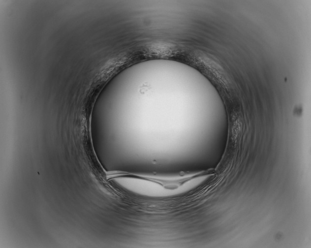 X0000098030459200804181233