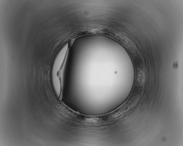 X0000098030461200804181233