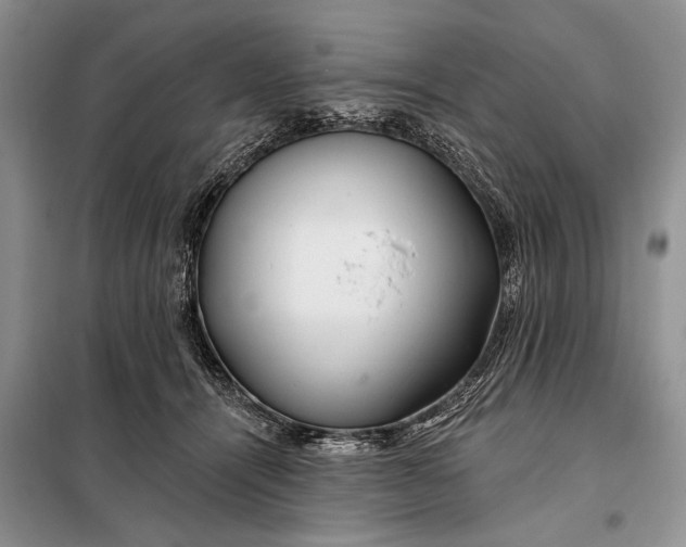 X0000098030464200804181233